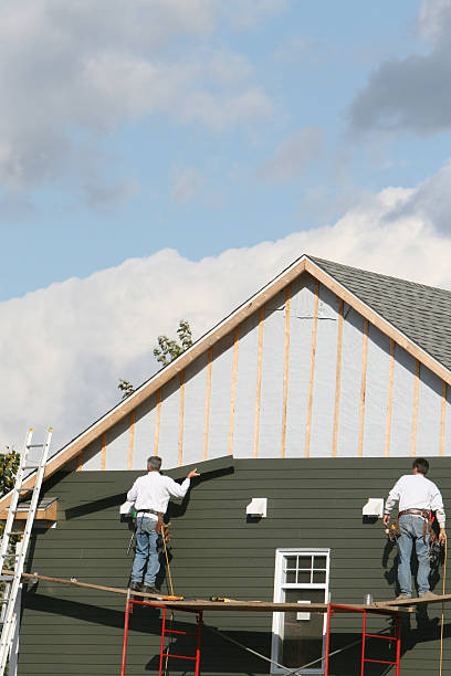 Best Insulated Siding Installation  in Lake Andes, SD